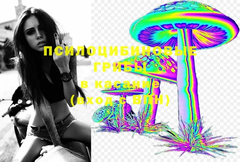 как найти закладки  Карабаш  Галлюциногенные грибы MAGIC MUSHROOMS 